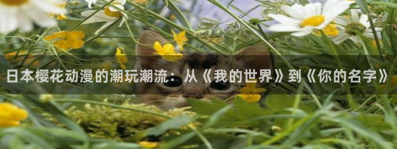 yy漫画官网入口老版本：日本樱花动漫的潮玩潮流：从《我的世界》到《你的名字》