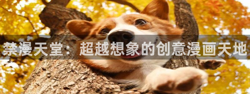 colamanage漫画官网：禁漫天堂：超越想象的创意漫画天地