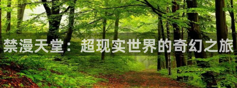 下载yy漫画：禁漫天堂：超现实世界的奇幻之旅