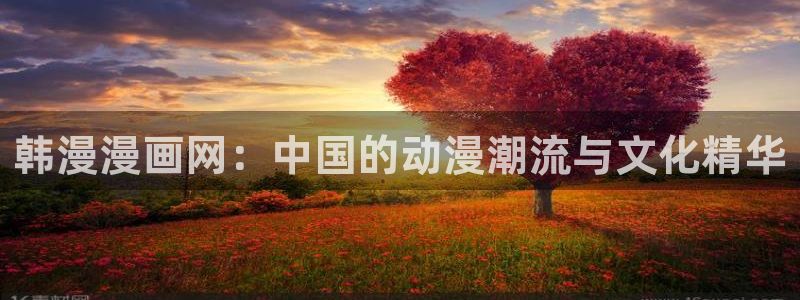 拷贝漫画 copymanager.ory网站：韩漫漫画网：中国的动漫潮流与文化精华