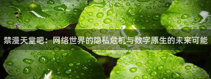 age专注动漫的门户网站：禁漫天堂吧：网络世界的隐私危机与数字原生的未来可能