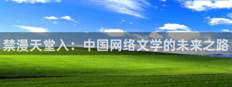 lovestage漫画免费阅读：禁漫天堂入：中国网络文学的未来之路
