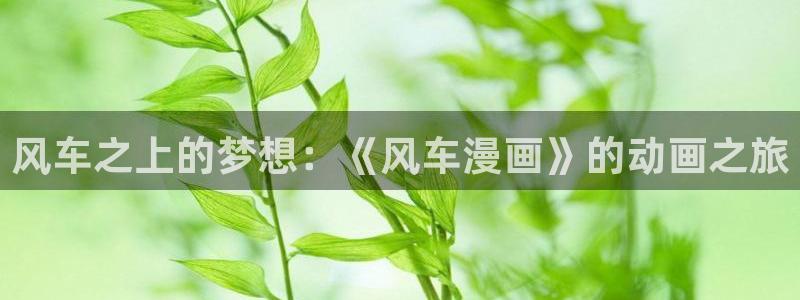 yy漫画：风车之上的梦想：《风车漫画》的动画之旅