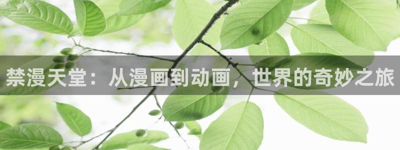 colamanage漫画官网：禁漫天堂：从漫画到动画，世界的奇妙之旅