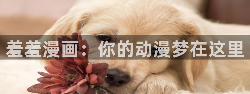 age樱花动漫：羞羞漫画：你的动漫梦在这里
