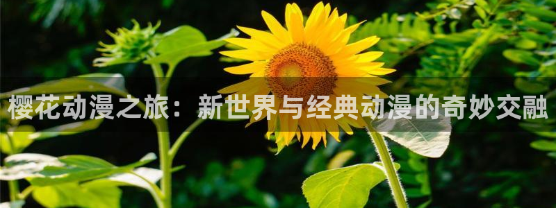 yy漫画网：樱花动漫之旅：新世界与经典动漫的奇妙交融
