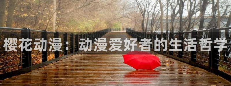 yy漫画网官网入口：樱花动漫：动漫爱好者的生活哲学