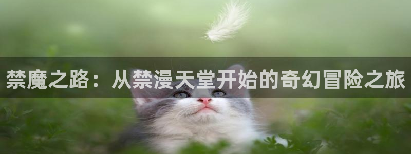 colamanage漫画下载：禁魔之路：从禁漫天堂开始的奇幻冒险之旅