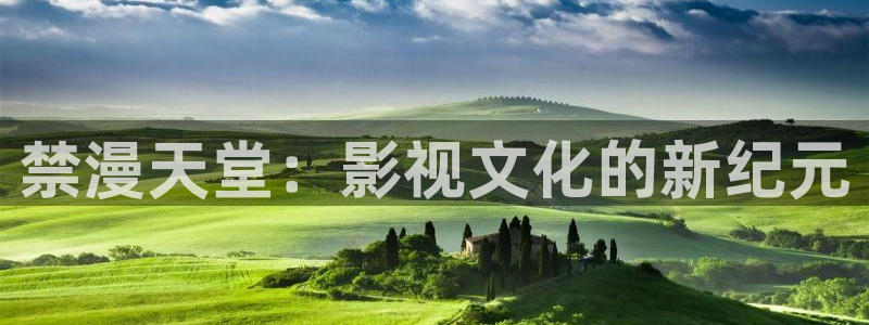 age专注动漫的门户网站：禁漫天堂：影视文化的新纪元