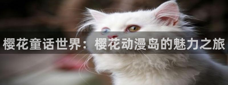 stagenehind韩漫免费观看：樱花童话世界：樱花动漫岛的魅力之旅