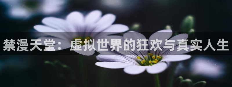 colomanage漫画官网：禁漫天堂：虚拟世界的狂欢与真实人生