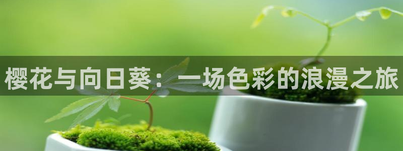 yy漫画官网版入口：樱花与向日葵：一场色彩的浪漫之旅
