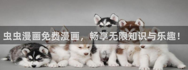 yy漫画网上看：虫虫漫画免费漫画，畅享无限知识与乐趣！