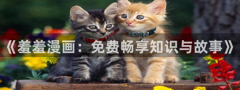 yy漫画网官网入口