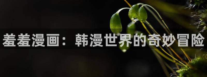 拷贝漫画 copymanager.ory网站：羞羞漫画：韩漫世界的奇妙冒险