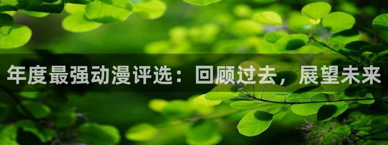 yy漫画官网版入口：年度最强动漫评选：回顾过去，展望未来