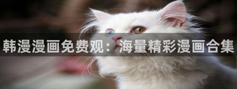 yy漫画官网入口老版本：韩漫漫画免费观：海量精彩漫画合集